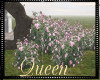 !Q Pink Flowers