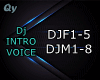 Q | Dj Intro Voice