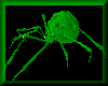 Emerald Gem Spider