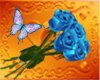 Blue Rose Bundle