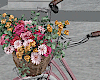 Bike With Flowers