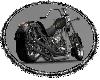 [QV] Harley Bike Rug