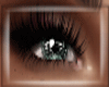 Gray Aqua Eyes