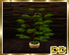 [DD] Green Plant 1