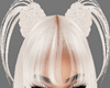 Samara White/Bangs