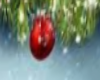 Chapter 2018 Xmas banner
