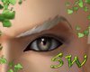 SW~ Brows Sand