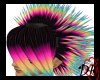 [DK]Rainbow NOCTURNAL M