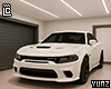 Dodge Charger HCat