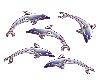 animated dolphins