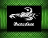 Room praia Scorpion