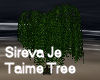 Sireva Je Taime Tree