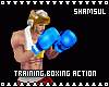 Training Boxing Action