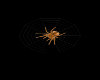 (SS)Spider Web DJ Light