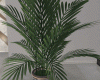 ! LOVE Palm flowerpot