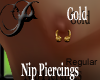 !P!Nip.Reg.gold