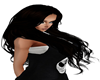 Brown-Black Abra