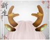 ☽  Deer Horns Drv