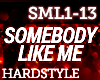 HS - Somebody Like Me