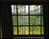 Window / Black Curtains