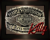 HB Harley Davidson Art 8