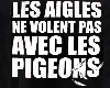 Aigle noir booba