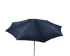 umbrella.