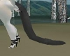 Panther knotted tail 1