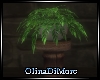(OD) Meeting plant