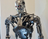 Standing Terminator