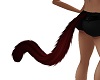 LG-Rubyred Cat Tail