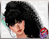 [LD]Athene&clubs;Black