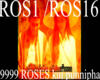 9999  roses kai punnipha