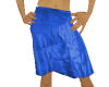 VS blue silk skirt