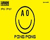pingpong p1 ping1/3