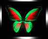 Butterfly Animated