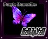 Purple Buterflies