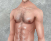 KTN Sexy Hairy Body