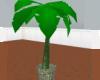 Moving palm tree