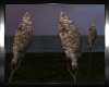 єɴ| Stockfish 4P Anim