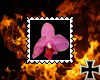 [RC] Orchidee