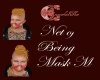 net of being mask m
