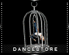 *Bird Cage Dance  /S