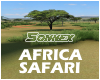 Africa safari