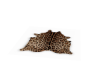 LB | Leopard Area Rug S3