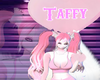 Taffy Furry Bundle