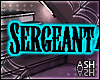 Sergeant At Arms Sign
