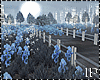 Flowers Path To The City