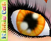 KC CANDY Eyes 2 orange