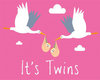 It's Twins Storks